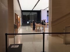 -Apple零售店(玄武湖店)