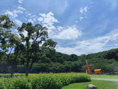 -苏州上方山国家森林公园