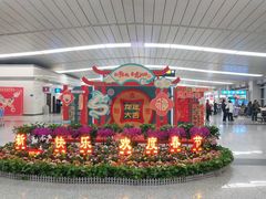 -石家庄正定国际机场-T2航站楼