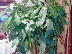 -天和晟新京菜.水煮鱼.湘土菜(国展店)