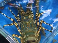 -清水湾3号(东方小周海鲜店)