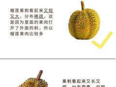 -麦德龙(湖里店)