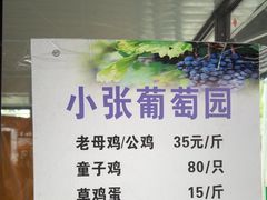 -马陆小张葡萄园农家乐