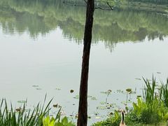 -浙江农林大学(东湖校区)