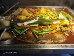 -探鱼·鲜青椒爽麻烤鱼(西南商都店)
