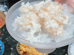 绣球菌-王家渡火锅店(棕榈泉店)