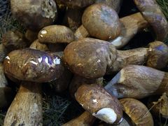 -滇铺子(欣都龙城店)