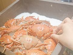 -新艺自助美食城(中山路店)