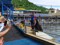 -海南分界洲岛旅游区