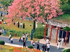 -东莞植物园