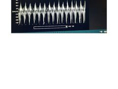 -瑞鹏宠物医院·爱宠堂·骨外专科(西荷分院)
