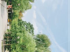 -杨柳青庄园
