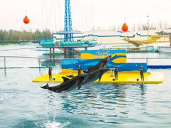 -秦皇岛乐岛海洋王国