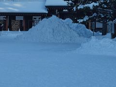 -北海道神宫