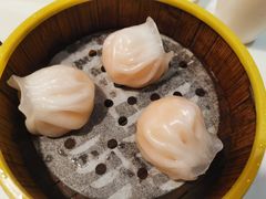 -火齐潮汕砂锅粥(五道口店)
