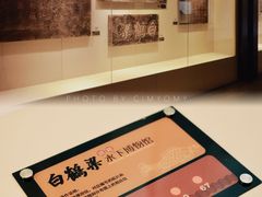 -白鹤梁水下博物馆