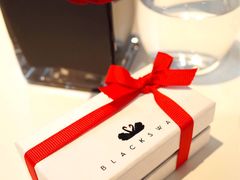 -BLACKSWAN黑天鹅(环球店)