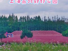 -嘉北郊野公园