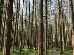 -上海怡沁园度假酒店