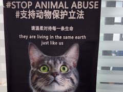 -瑞派雷欧宠物医院·中兽医·眼科·急重症转诊中心(黄台店)