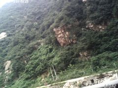 -王顺山国家森林公园