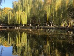 -玲珑塔公园