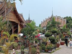 -西双版纳傣族园