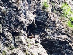 -狮子关旅游区