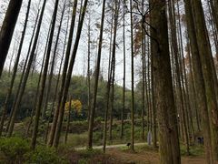 -山王坪喀斯特国家生态公园