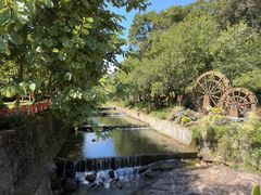 -广州白江湖森林公园