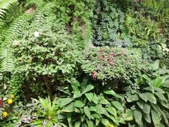 -颐而康·按摩·艾灸·足疗(汽车东站店)