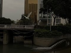 -江头公园