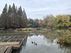 -洛阳市隋唐城遗址植物园