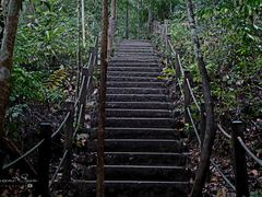 -武吉知马自然保护区