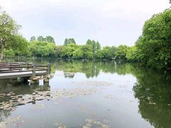 -西湖外事游船(花港观鱼码头)