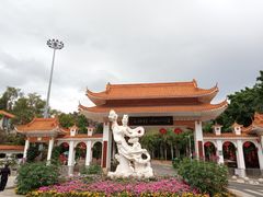-深圳仙湖植物园