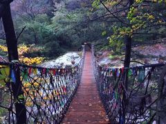 -青峰峡国家森林公园