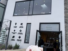 -Patagonia Chocolates(皇后镇店)