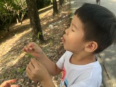 -尚果生态采摘园