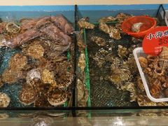 -日进一片海.生腌海鲜火锅.宵夜烧烤(三里屯总店)