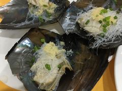 蒜蓉蒸扇贝-蚝专家(北滘店)