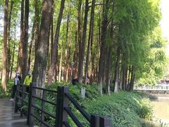 -广州雕塑公园