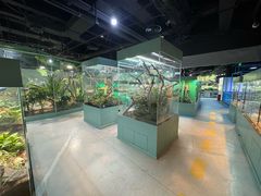 -上海大自然野生昆虫馆(东方明珠·爬宠昆虫探索中心)