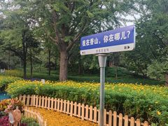 -香山公园