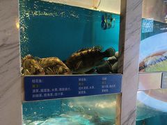 -太平洋PACIFIC SPA•奢睿水疗(万象城店)
