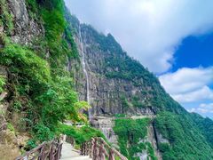 -瓦屋山景区