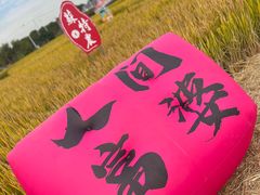 -莲花岛景区