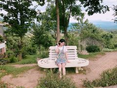 -黄色小屋