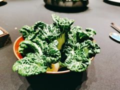 -荣记火锅(青悦城店)