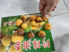 -沈阳市八家子水果批发市场